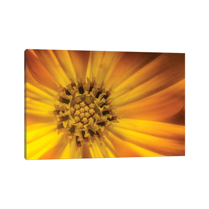 Sunflower 1 Piece Wrapped Canvas Wall Art, 66.04 cm H x 45.72 cm W x 1.91 cm D