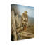 «Red Tailed Hawk» par Armstrong, impression sur toile tendue-27645358