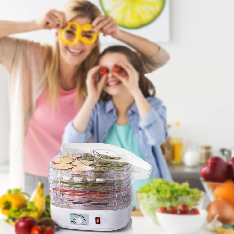 https://assets.wfcdn.com/im/66075429/resize-h755-w755%5Ecompr-r85/1922/192265036/NutriChef+5+Tray+Food+Dehydrator.jpg