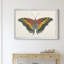 «Beautiful Butterfly IV», impression sur toile encadrée-1812992105-1812992104