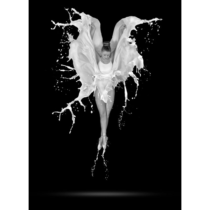 Wrapped Canvas Print, 76.2 cm H x 50.8 cm W