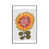 White Floater Framed is unavailable