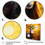 Coucher de soleil jaune, prairie, chèvre, art mural-107290882-107290883