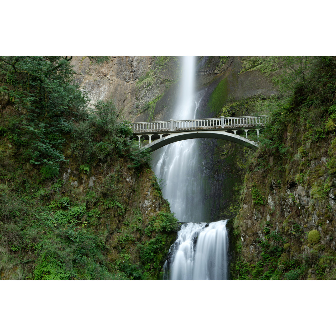 Multnomah Falls von Ericfoltz - Drucken