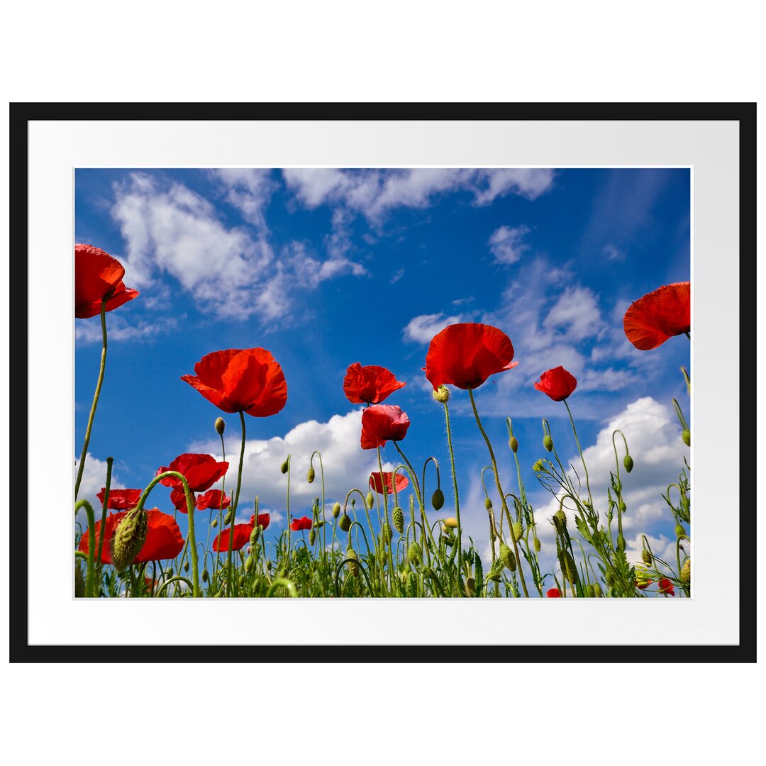 Gerahmtes Poster Wiese mit Blumen