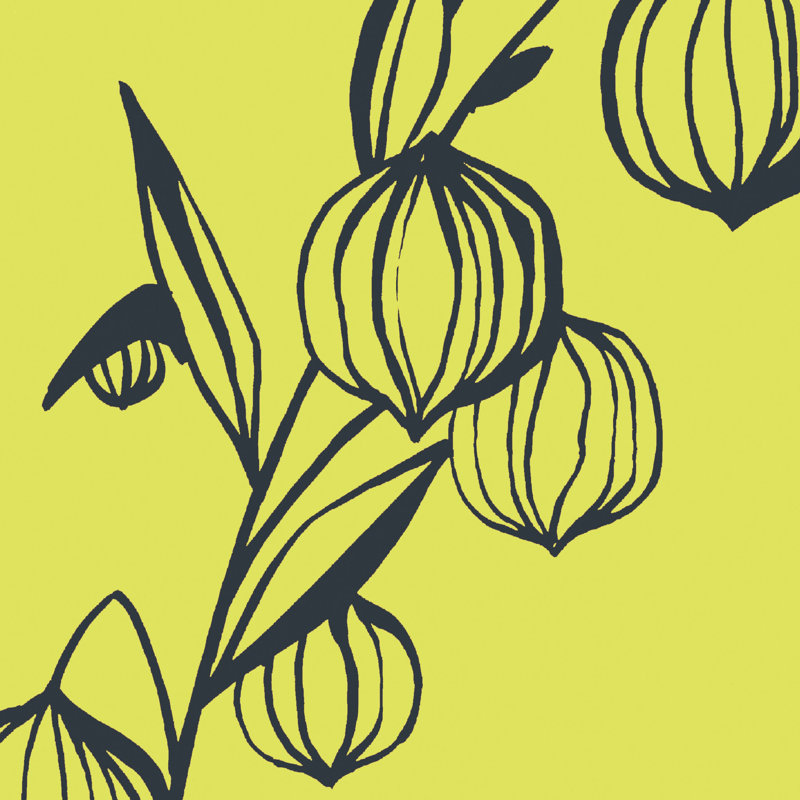 Floral Wallpaper Roll, Acid Yellow
