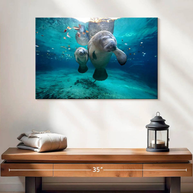 Brampt Manatee And Calf, 16" H x 24" W