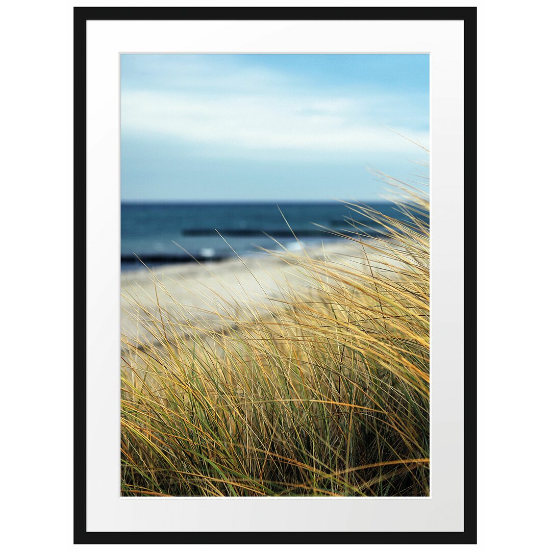 Gerahmtes Poster Sanddünen mit Schilfgras am Meer