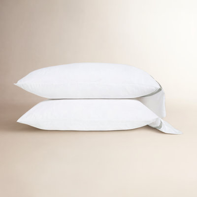 Langston Rayon From Bamboo Machine Woven Pillowcase - Set of 2