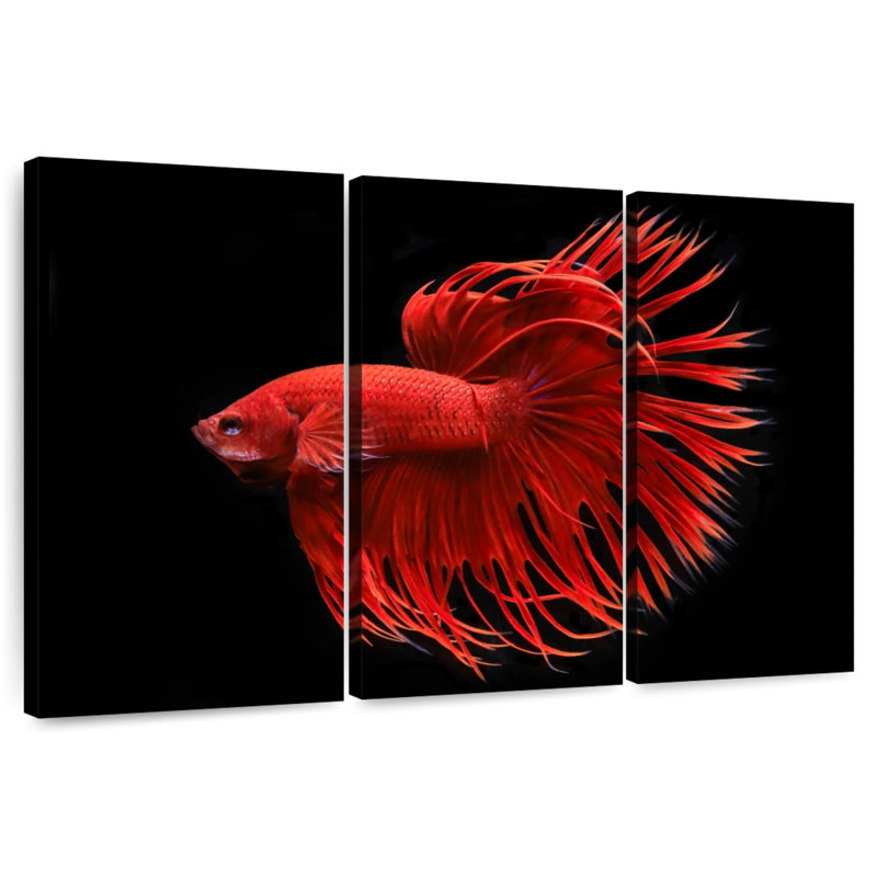 Grandiose Red Betta Fish, 36" H x 57" W