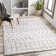 Southwestern Indoor Rug