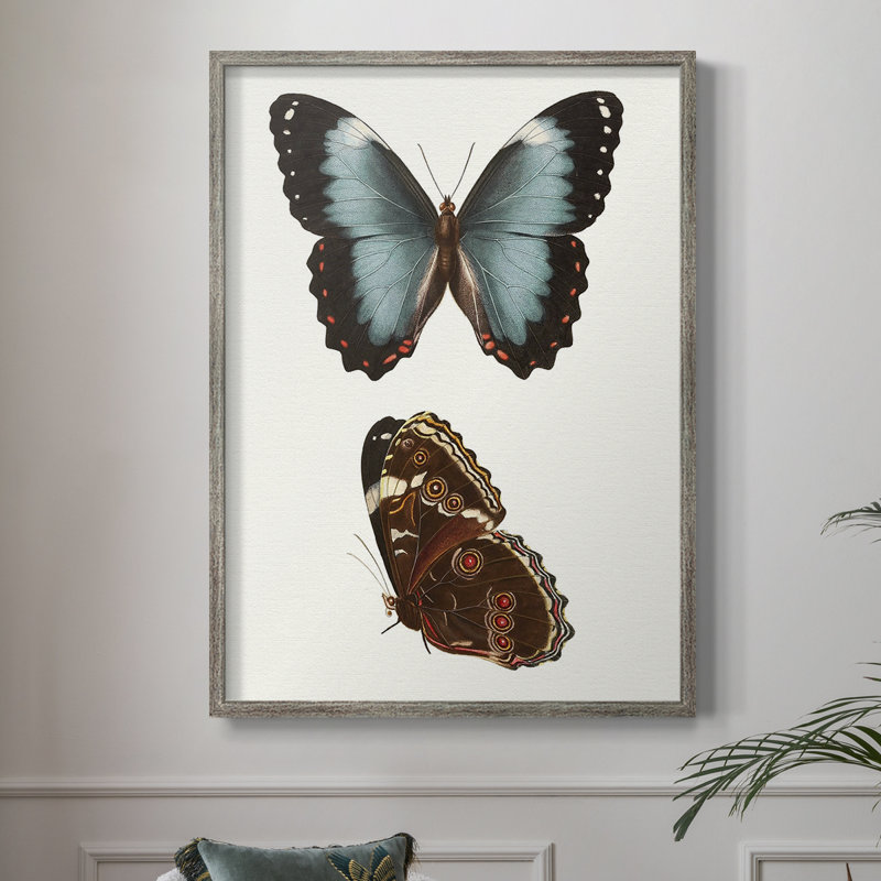 Reproduction encadrée de papillons bleus antiques IV - bois massif, H 15 po x l 12 po