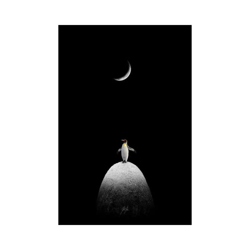 The Majestic Penguin by Kathrin Federer - Wrapped Canvas Print, 66.04 cm H x 45.72 cm W x 1.91 cm D