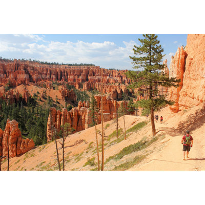 Peek-A-Boo Trail by Angelina Nguyen - Wrapped Canvas Print