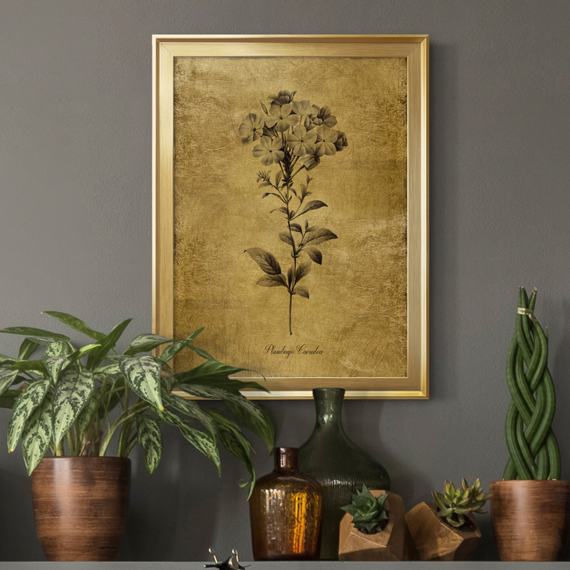 Ameelya " Gold Sketch Botanical II ", Gold, 30.5" H x 22.5" W x 1" D