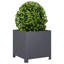Planter Box-104931244-108202635