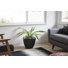 Plante grasse artificielle Bragdon en pot