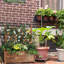 Bloxom Wood Planter Box-1408216905