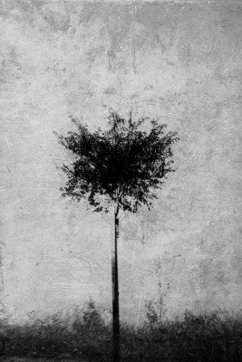 Wrapped Canvas Print, 91.44 cm H x 60.96 cm W