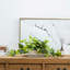 Artificial Plant