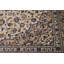 Tapis oriental crème unique 7 x 10 Rashan