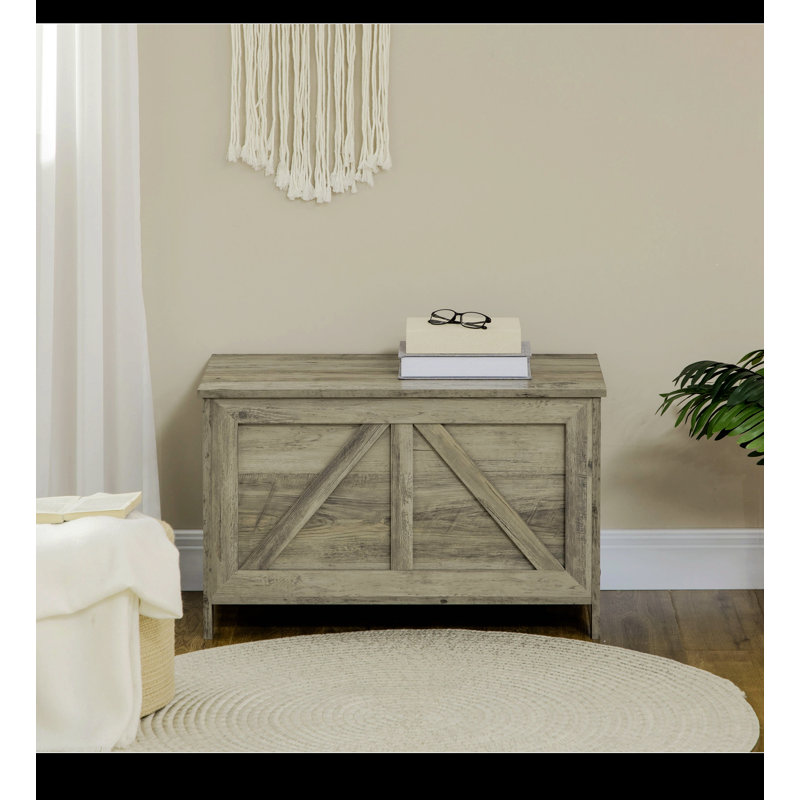 Armoire de rangement 30 po Delmita