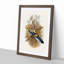Blue Cheeked Parakeet by Elizabeth Gould - Picture Frame Painting Print-55544353-55544352