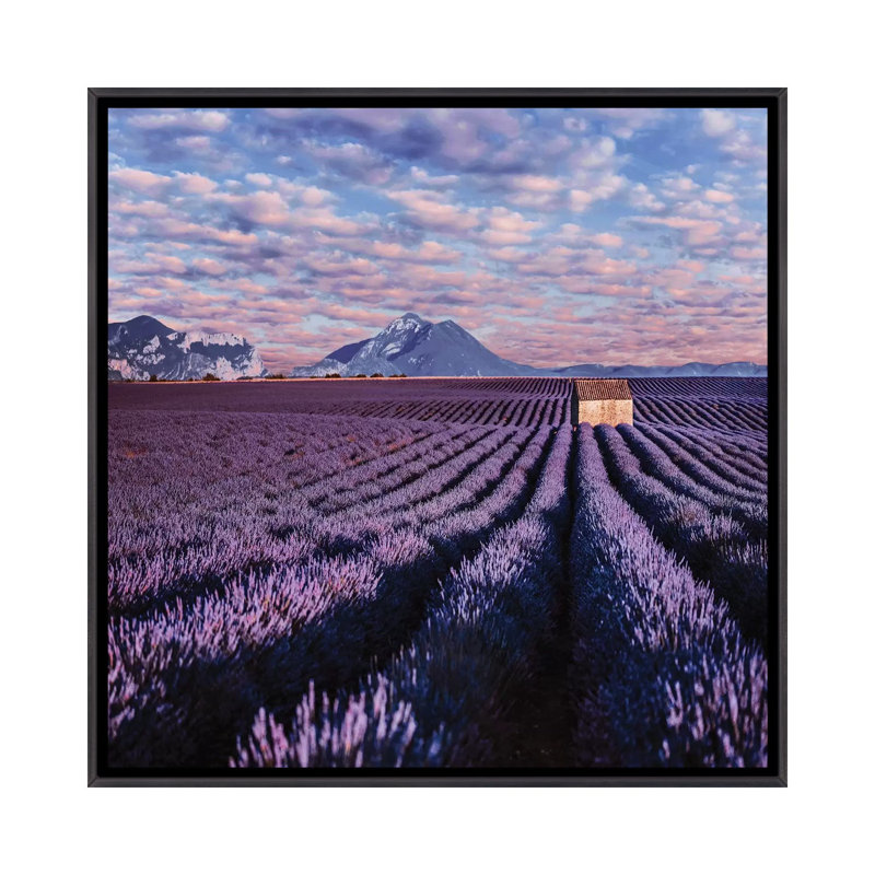 « Lavander clouds » par Hobopeeba-reproduction d’art, H 26 po x l 26 po x P 1,5 po, Toile avec cadre noir patiné