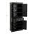 Accent Cabinet