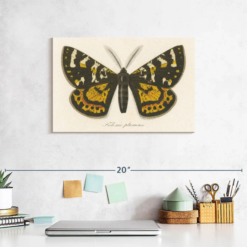 Brampt Natures Butterfly V, 8" H x 12" W