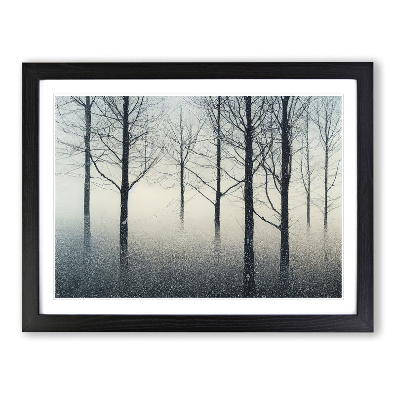 Progressive Winter Forest - Single Picture Frame Print, Black Framed, 46cm H x 64cm W x 2cm D
