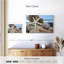 White crescent beach shells vii Aletra-108123440