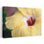Hibiscus 1 Piece Wrapped Canvas Wall Art-1166504626