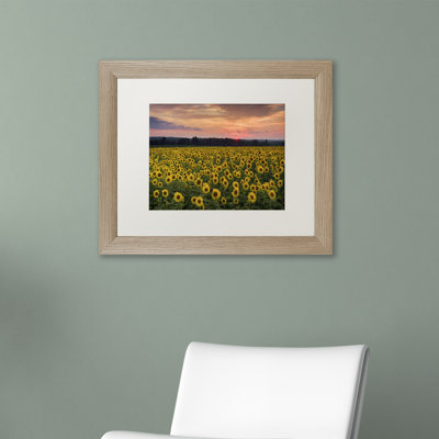 " Sunflower Taps " by Michael Blanchette