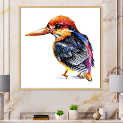 Oiseau martin-pêcheur coloré