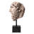 Met X Eichholtz People Bust