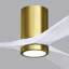 Irene LED Ceiling Fan-98976998-99192944-24425152