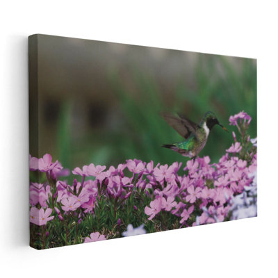 «Spring Hummingbird», reproduction d'art sur toile