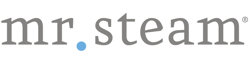 Mr. Steam logo