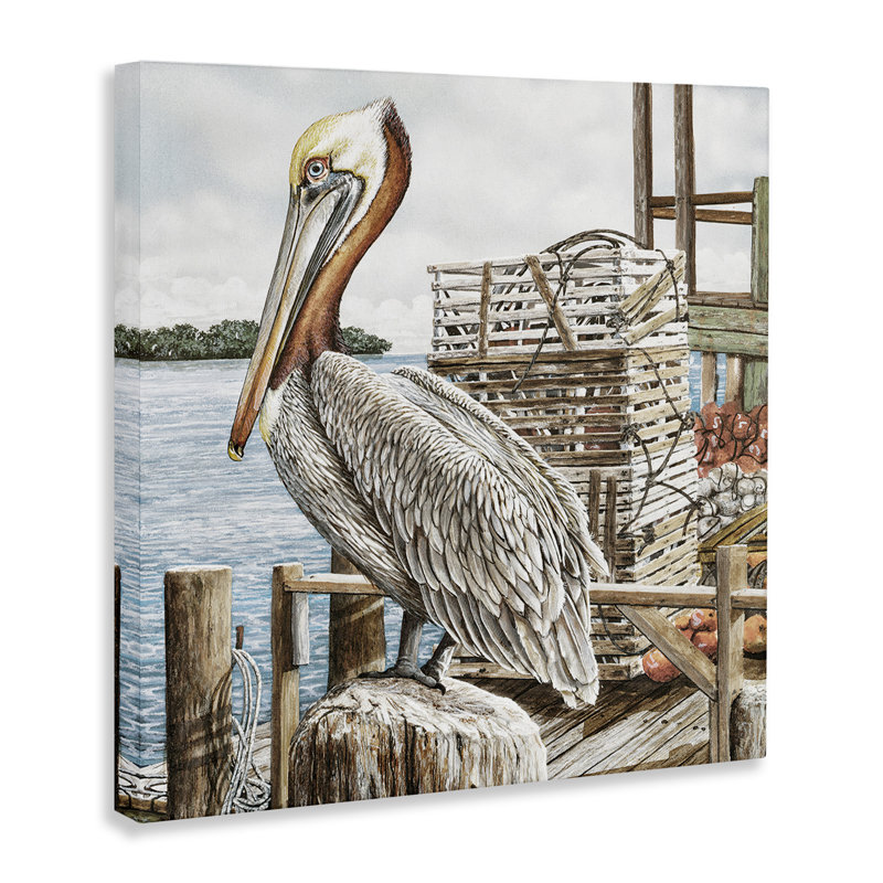 Art mural sur toile Pelican, H 30 po x l 30 po x P 1,5 po