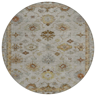 Machine Washable Indoor/Outdoor Xhevrie Taupe Rug
