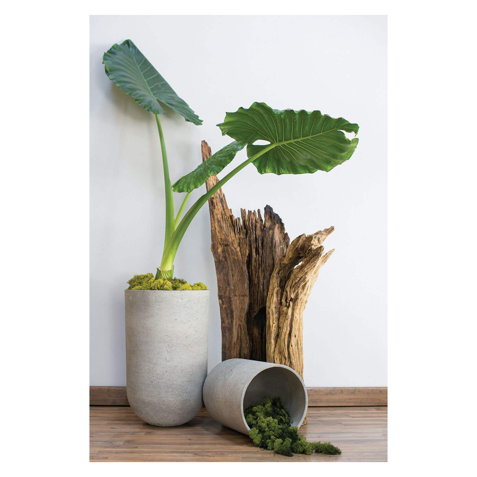 Georgy Handmade Pot Planter, 20" H x 13.75" W x 13.75" D