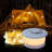 Camping String Light