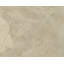 Peony Floral Area Rug in Beige/Neutral/Taupe-45410468