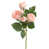 Rose sélectionné