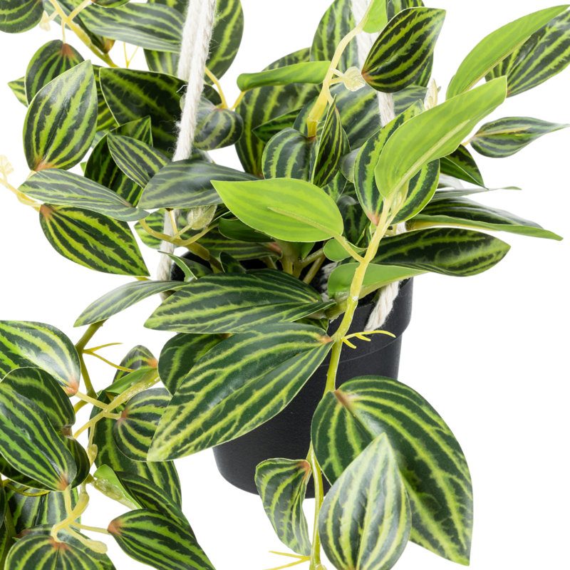 43.9cm Faux Plant