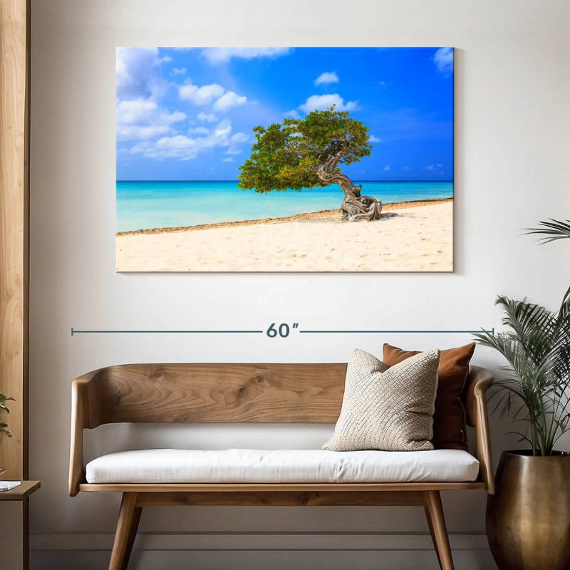 Arbre solitaire sur la plage d'Aruba, H 32 po x l 48 po