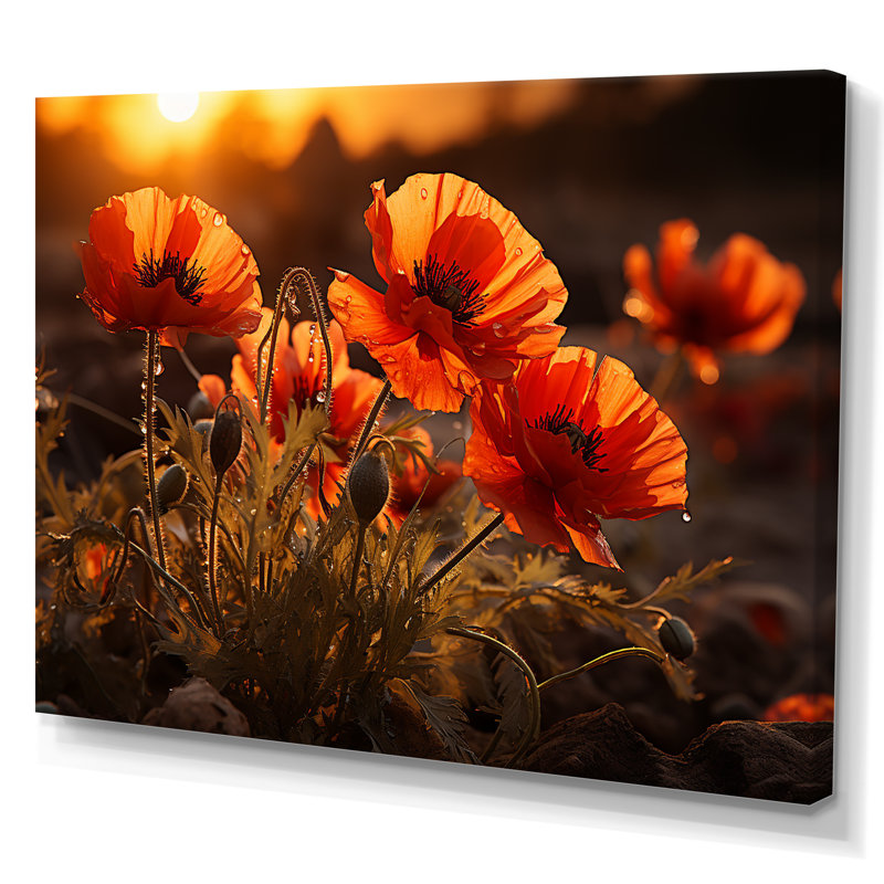 Coucher de soleil coquelicots dans la prairie, Toile tendue, H 30 po x l 40 po