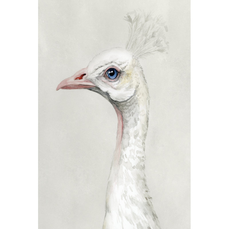 Alpine Peacock II by Grace Popp - Wrapped Canvas Print, 45.72cm H x 30.48cm W