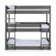 Manila Bunk Bed with Built-in Ladder Included-1432047872